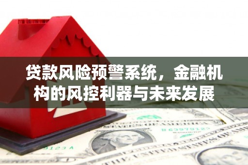 金州贷款风险预警系统，金融机构的风控利器与未来发展