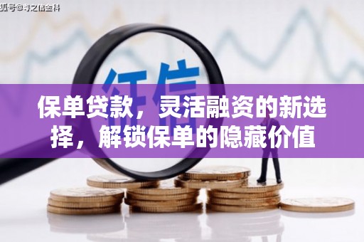 金州保单贷款，灵活融资的新选择，解锁保单的隐藏价值