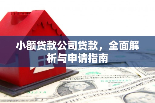 金州小额贷款公司贷款，全面解析与申请指南