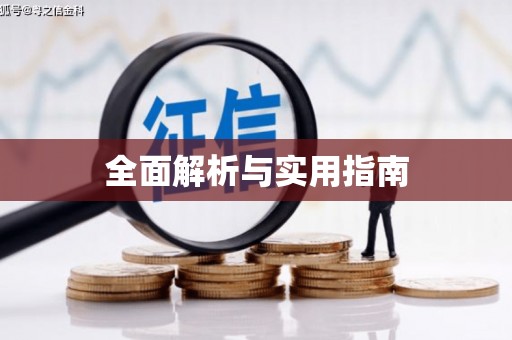 金州全面解析与实用指南