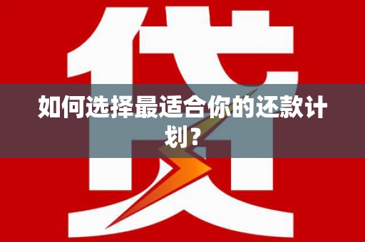 金州如何选择最适合你的还款计划？