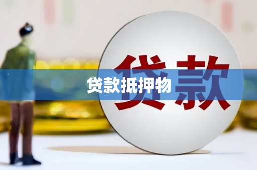 金州贷款抵押物