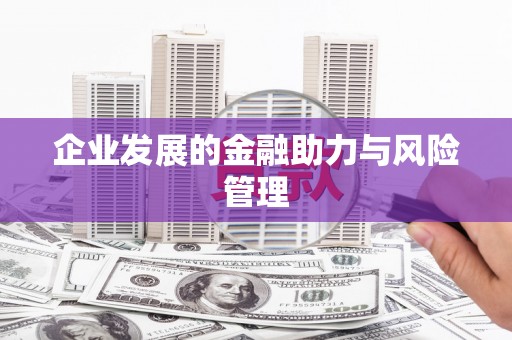 金州企业发展的金融助力与风险管理