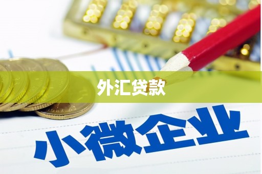 金州外汇贷款