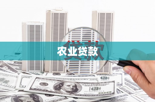 金州农业贷款