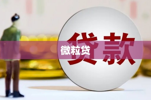 金州微粒贷