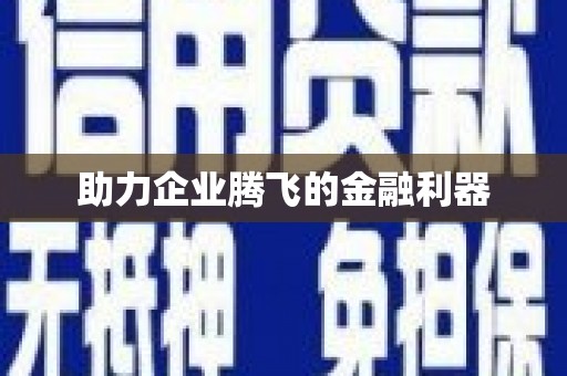 金州助力企业腾飞的金融利器