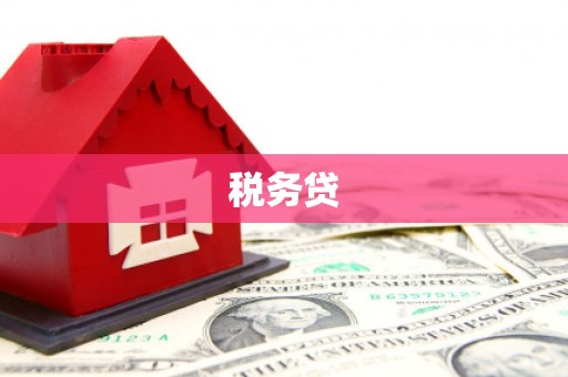 金州税务贷