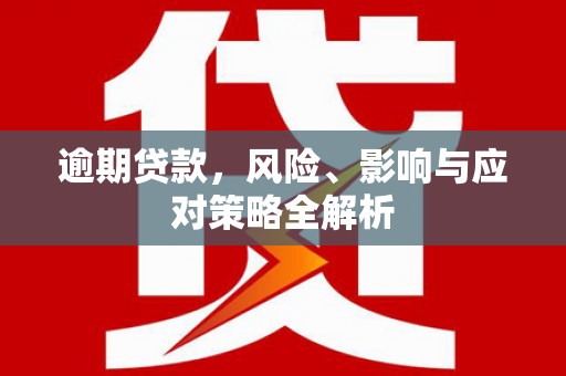 金州逾期贷款，风险、影响与应对策略全解析