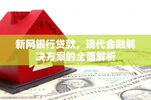 金州新网银行贷款，现代金融解决方案的全面解析