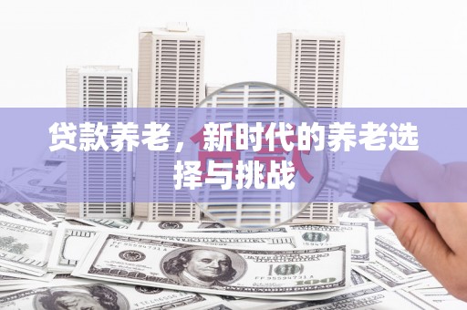 金州贷款养老，新时代的养老选择与挑战