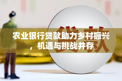 金州农业银行贷款助力乡村振兴，机遇与挑战并存