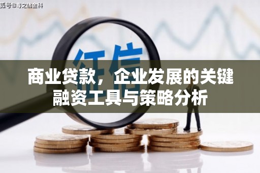 金州商业贷款，企业发展的关键融资工具与策略分析