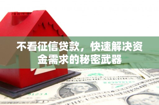 金州不看征信贷款，快速解决资金需求的秘密武器