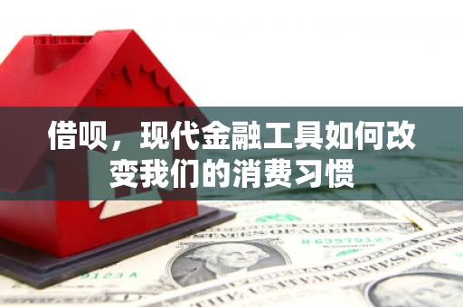 金州借呗，现代金融工具如何改变我们的消费习惯