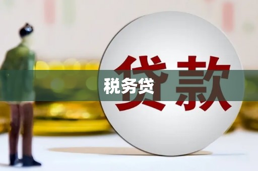 金州税务贷