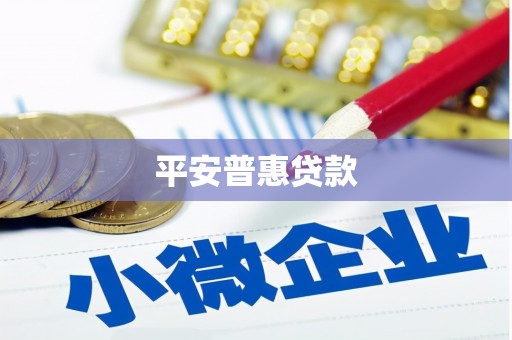 金州平安普惠贷款