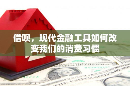 金州借呗，现代金融工具如何改变我们的消费习惯