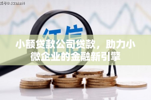 金州小额贷款公司贷款，助力小微企业的金融新引擎