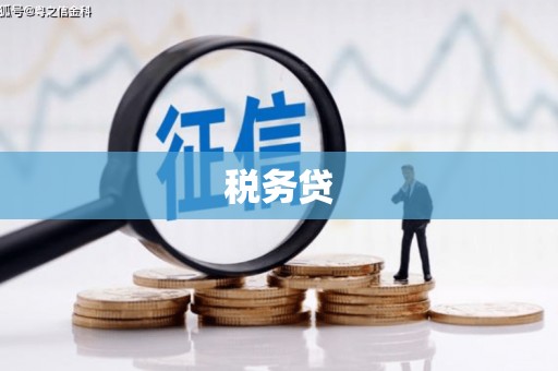金州税务贷
