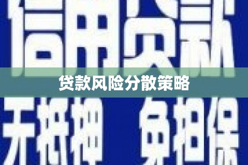 金州贷款风险分散策略