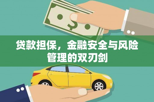 金州贷款担保，金融安全与风险管理的双刃剑