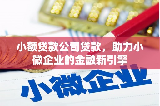 金州小额贷款公司贷款，助力小微企业的金融新引擎