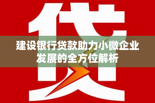 金州建设银行贷款助力小微企业发展的全方位解析