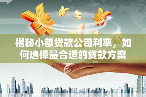 金州揭秘小额贷款公司利率，如何选择最合适的贷款方案
