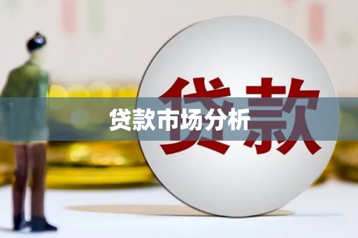 金州贷款市场分析
