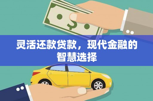 金州灵活还款贷款，现代金融的智慧选择