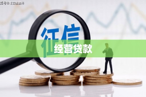 金州经营贷款