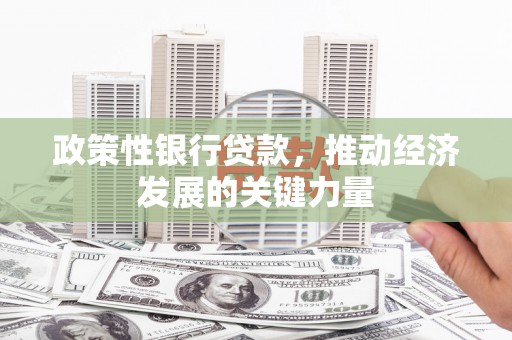 金州政策性银行贷款，推动经济发展的关键力量