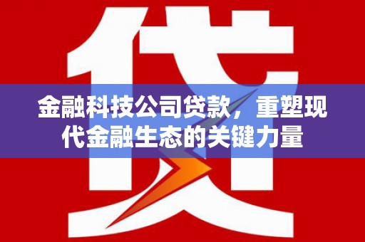 金州金融科技公司贷款，重塑现代金融生态的关键力量
