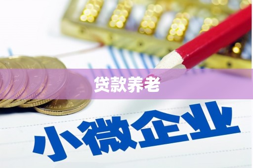金州贷款养老