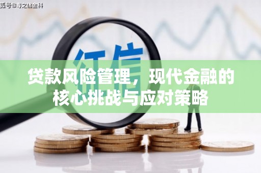 金州贷款风险管理，现代金融的核心挑战与应对策略