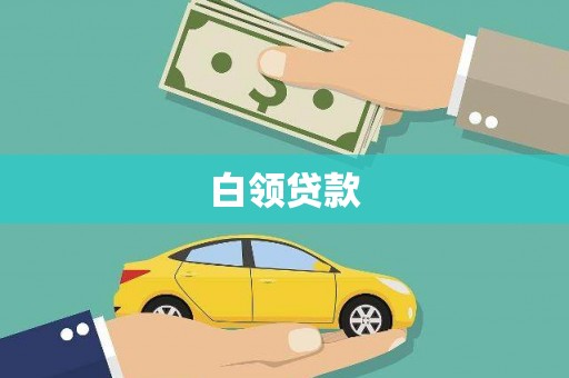 金州白领贷款