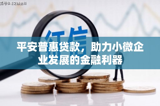 金州平安普惠贷款，助力小微企业发展的金融利器