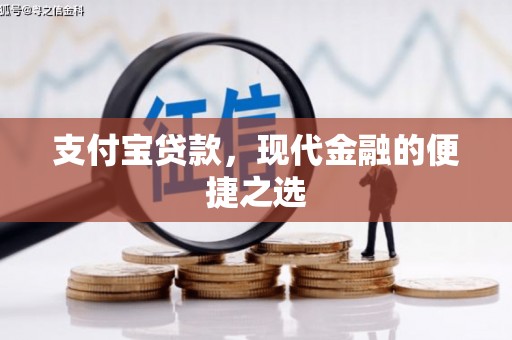 金州支付宝贷款，现代金融的便捷之选