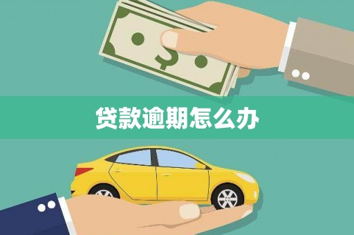 金州贷款逾期怎么办