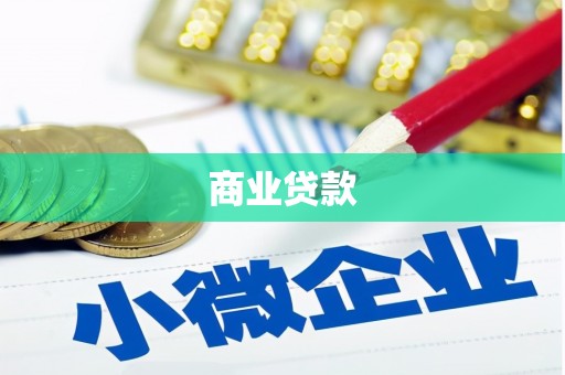 金州商业贷款