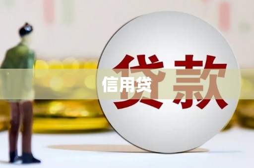 金州信用贷