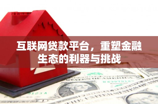 金州互联网贷款平台，重塑金融生态的利器与挑战