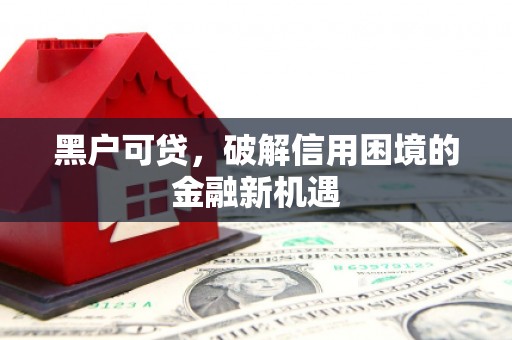 金州黑户可贷，破解信用困境的金融新机遇