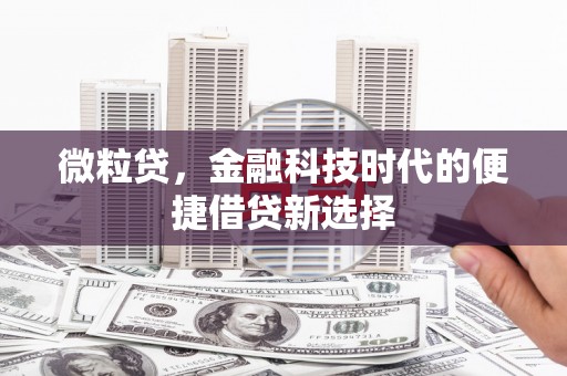 金州微粒贷，金融科技时代的便捷借贷新选择