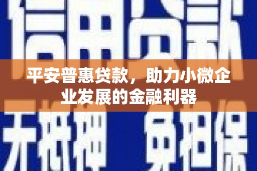 金州平安普惠贷款，助力小微企业发展的金融利器
