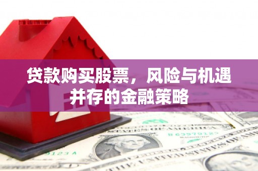 金州贷款购买股票，风险与机遇并存的金融策略
