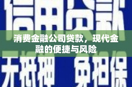 金州消费金融公司贷款，现代金融的便捷与风险