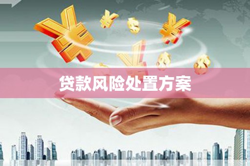 金州贷款风险处置方案