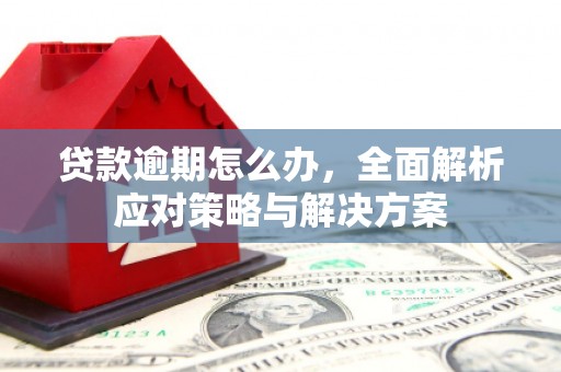 金州贷款逾期怎么办，全面解析应对策略与解决方案